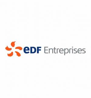 EDF Entreprises - Partenaire des Rabelais des Jeunes Talents